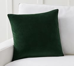 Everywhere Velvet Pillow